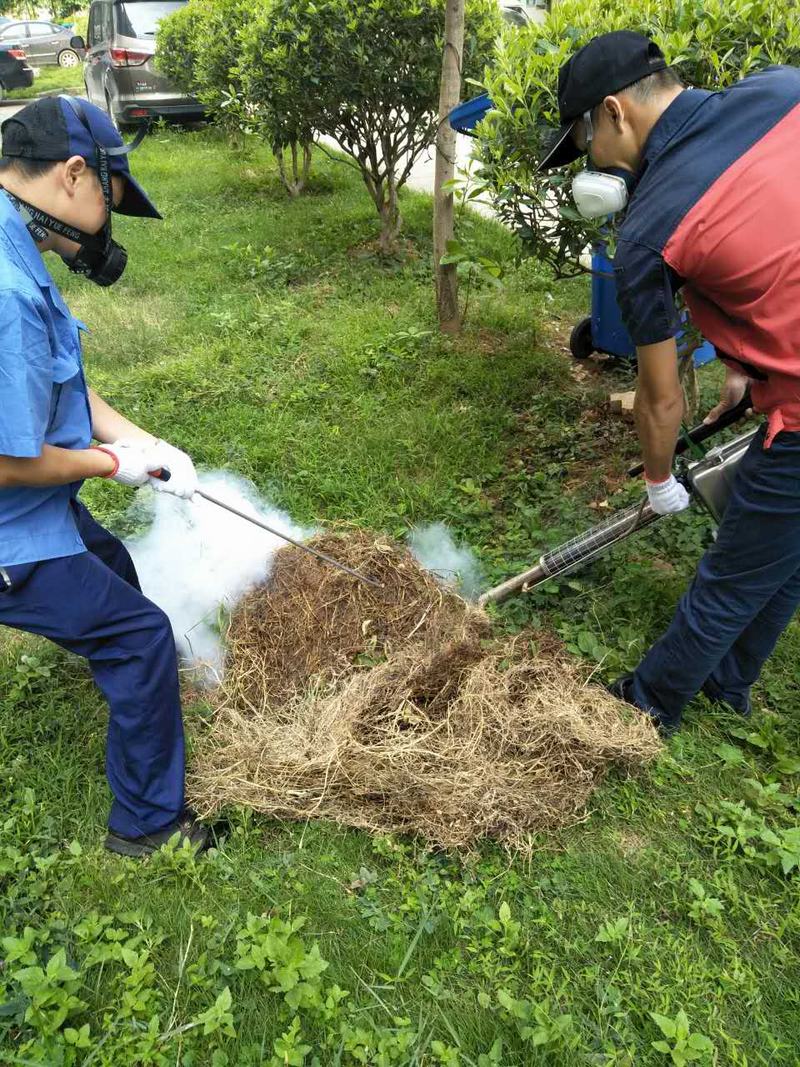 南寧滅鼠控蟲(chóng)